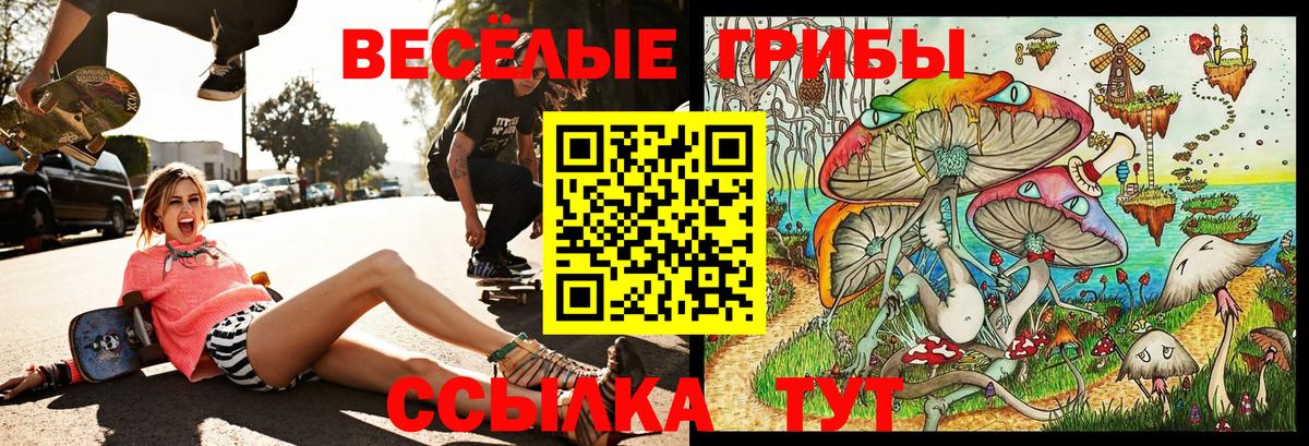 Петрозаводск  Псилоцибиновые грибы Psilocybine cubensis  продажа наркотиков  Псилоцибиновые грибы Cubensis  Вход с VPN 