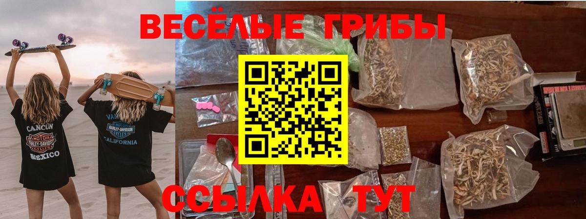 Галлюциногенные грибы MAGIC MUSHROOMS Петрозаводск